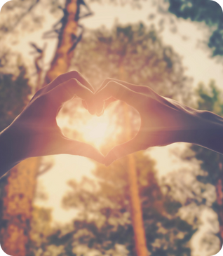 individual therapy, counseling, group therapy, optimal health, The Wellness Hub